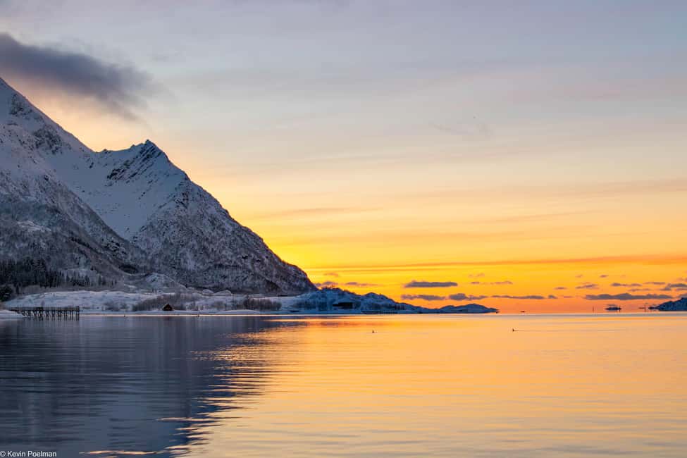 image n.5 of From Svolvær: RIB Boat Lofoten Trollfjord Sea Eagle Safari activity in Nordland County, uploaded by supplier