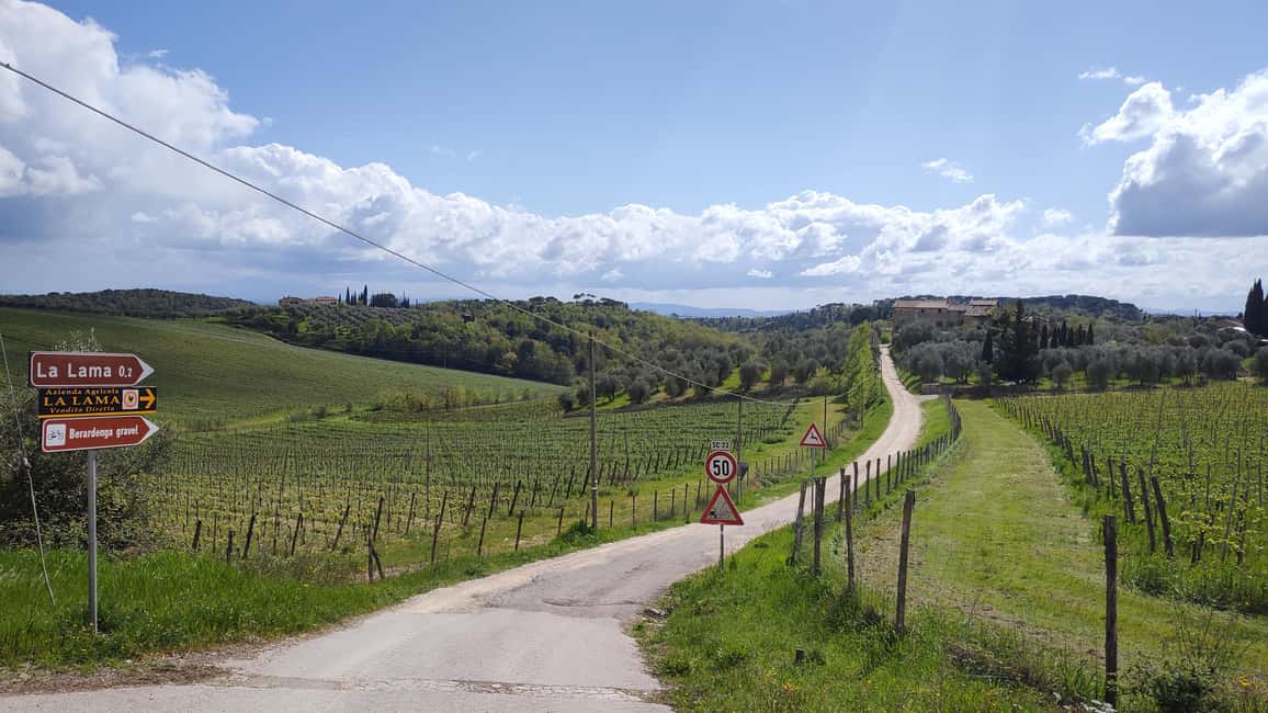 imagen n.º 9 de Chianti: tour en bicicleta eléctrica con visita al castillo y cata de vinos actividad en Siena, subida por el proveedor