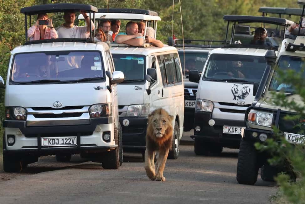image n.12 of DAY TRIP AMBOSELI NATIONAL PARK FROM NAIROBI BUDGET SAFARI. activity in Central Kenya, uploaded by supplier