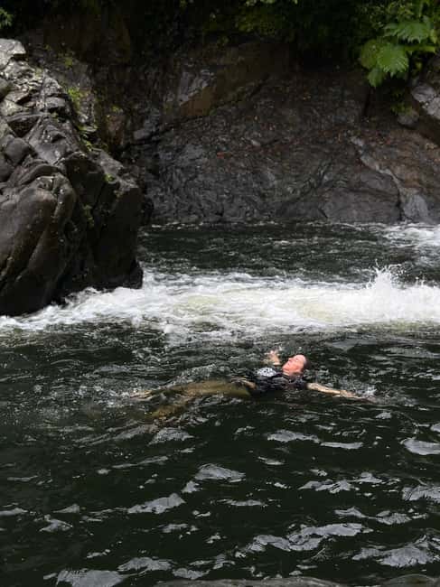 billede nr.7 af aktiviteten Fajardo: Guidet eventyr i El Yunque-skoven i Río Grande, Puerto Rico, uploadet af udbyder