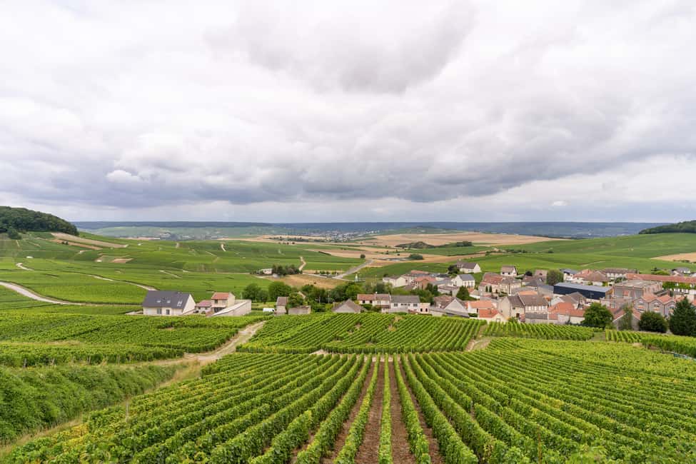 imagem n.5 de De Paris: Viagem de 1 dia para Champagne com 8 degustações e almoço atividade em Reims, carregada pelo fornecedor