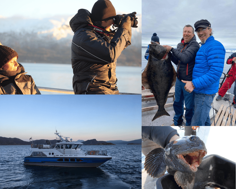 image n.4 of Tromsø’s Top-Rated Fjord & Fishing Cruise – All-Inclusive activity in Barents Sea, uploaded by supplier