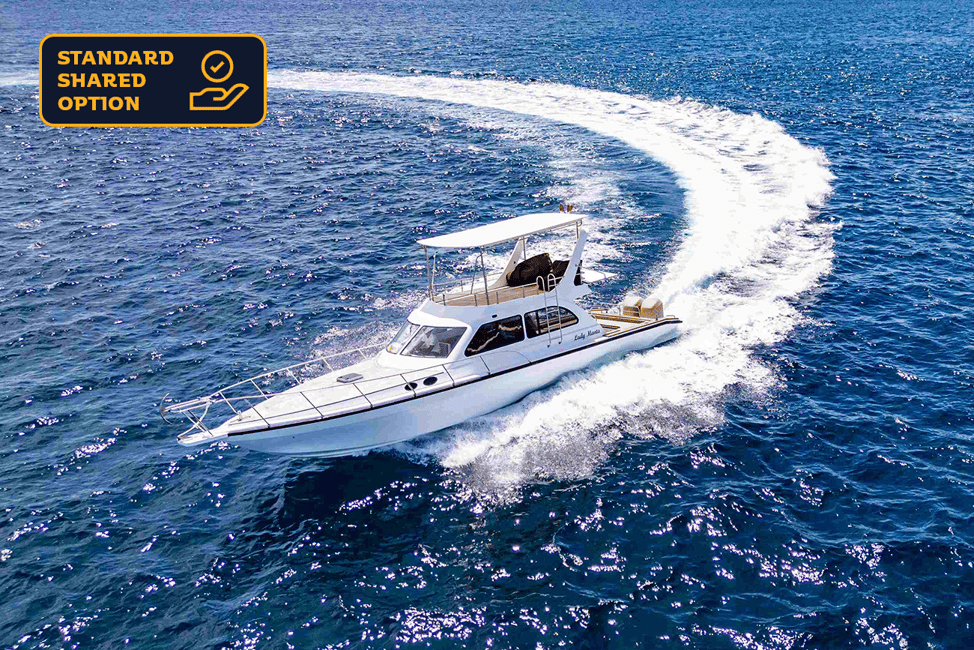 imagem n.36 de Bali: Nusa Penida Speedboat Trip com Snorkeling e Tour atividade em Bali, carregada pelo fornecedor