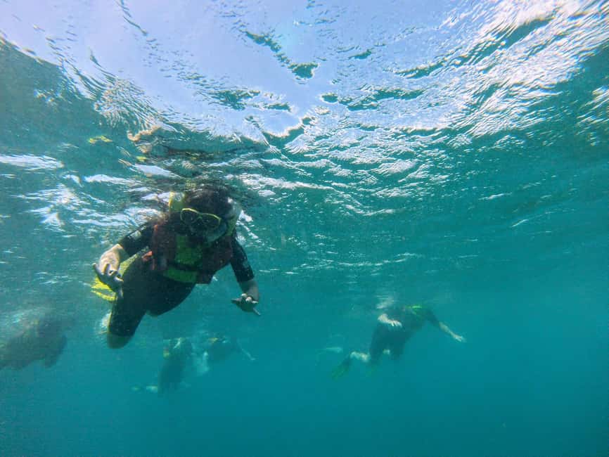 imagem n.12 de Passeio de snorkeling com guia local certificado atividade em Pedra de Lume, carregada pelo fornecedor