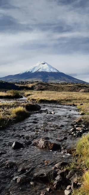 Immagine nº 2 di Vulcano Cotopaxi: escursione a cavallo di un'intera giornata per principianti attività a Cantone di Latacunga, caricata dal fornitore