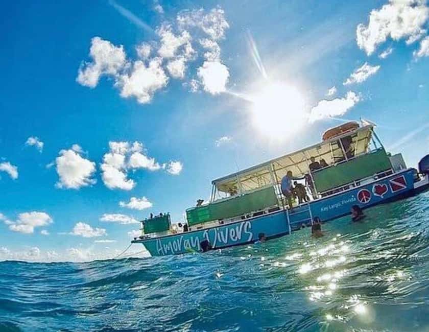 image n.12 of WATAMU,Snorkeling/dolphin spotting,seafood,mida creek cruise activity in Coast Province, uploaded by supplier