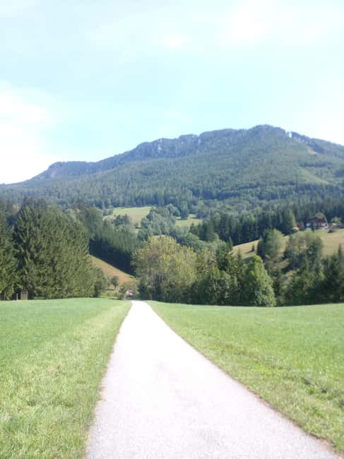 Bild Nr. 9 von Alp Mountains Tour Aktivität in Tirol, hochgeladen vom Anbieter