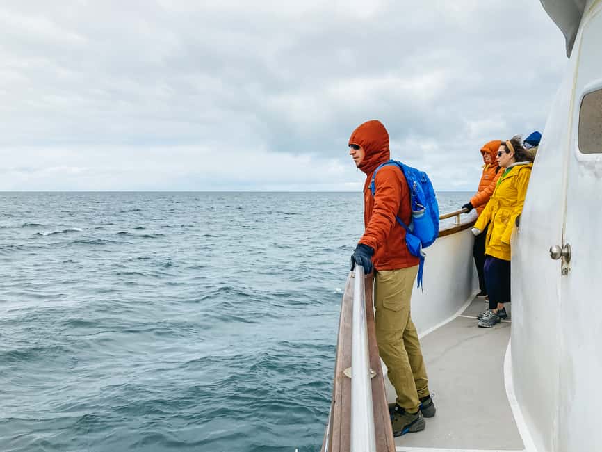 imagen n.º 12 de Reikiavik: Crucero de avistamiento de ballenas y vida marina actividad en Vesturland, subida por el proveedor