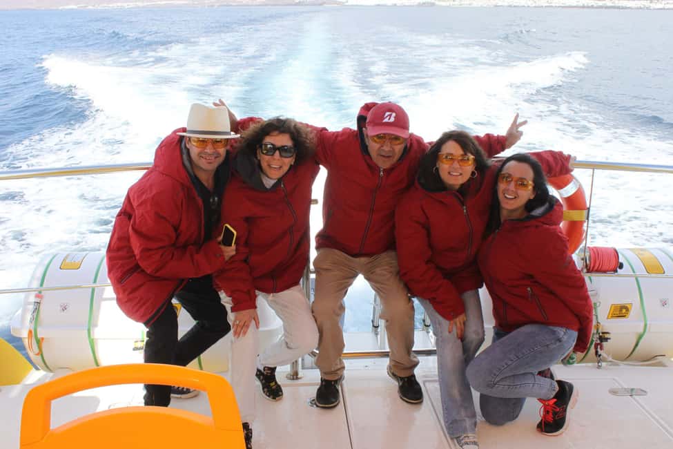 imagen n.º 2 de Lanzarote: Excursión de medio día a la Isla de Lobos para avistar delfines actividad en Playa Blanca, Lanzarote, subida por el proveedor