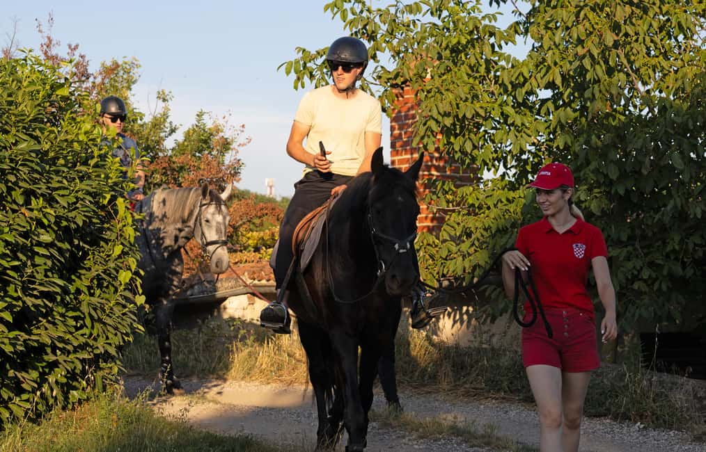 Bild Nr. 8 von Fazana: 1-stündiger Ausritt in die Natur bei Sonnenuntergang mit Guide Aktivität in Fažana, hochgeladen vom Anbieter