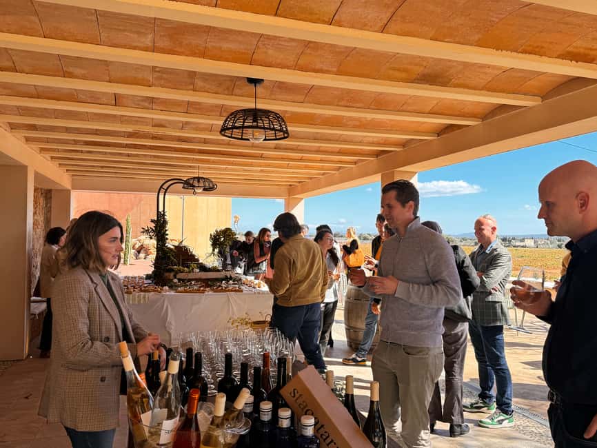 bild nr.8 av Weinsonntag på Mallorca aktivitet i Balearerna, uppladdad av arrangören