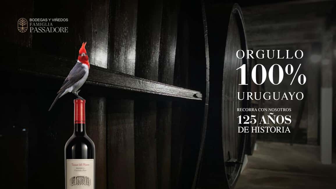 Immagine nº 7 di Tour della cantina di Santa Rosa e degustazione di Grand Cava attività a Montevideo, caricata dal fornitore