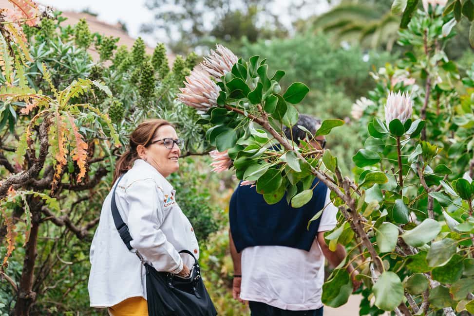 Bild Nr. 2 von Vom Süden Teneriffas: Tagestour zur Insel La Gomera mit Mittagessen Aktivität in Hermigua, hochgeladen vom Anbieter