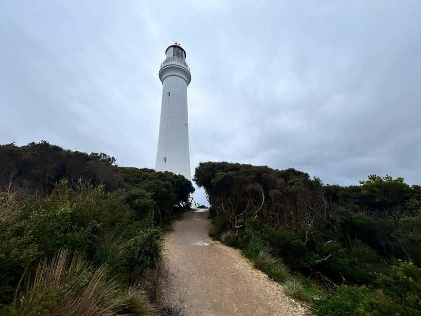 imagem n.2 de De Melbourne: Tour particular pelos 12 apóstolos e pela Great Ocean Road atividade em Melbourne, carregada pelo fornecedor