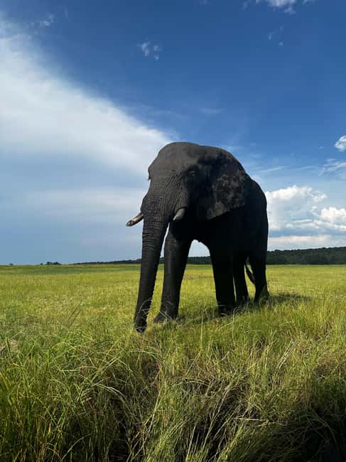 image n.12 of From Kasane: Chobe River Sunset Cruise activity in North-West District, uploaded by supplier