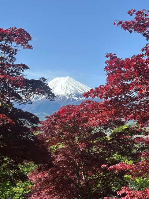 obrázek č.18 aktivity Jednodenní soukromá exkurze na horu Fuji s anglicky mluvícím řidičem v destinaci Hakone, nahraný poskytovatelem aktivity