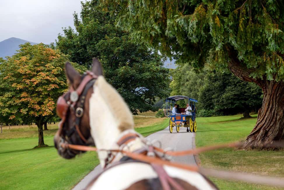 image n.3 of Killarney: Views & Brews Jaunting in Killarney National Park activity in Munster, Ireland, uploaded by supplier