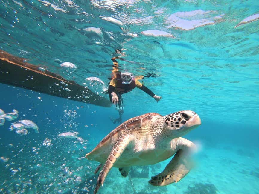image n.1 of Gili Islands: Private or Shared Snorkeling Boat Trip activity in West Nusa Tenggara, uploaded by supplier