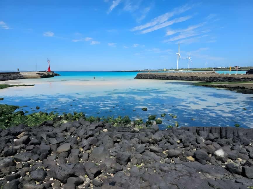 image n.4 of Jeju:K-Drama Spot When Life Gives You Tangerines Hotel pick activity in Jeju-si, uploaded by supplier