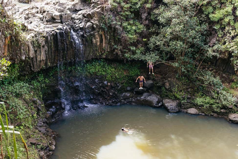 image n.15 of Maui: Rainforest Waterfalls Guided Hike with Picnic Lunch activity in Haiku, Hawaii, uploaded by supplier