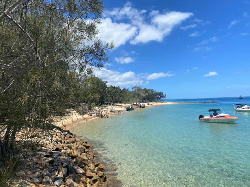image n.10 of From Brisbane: North Stradbroke Island Wildlife Adventure activity in Brisbane, uploaded by supplier