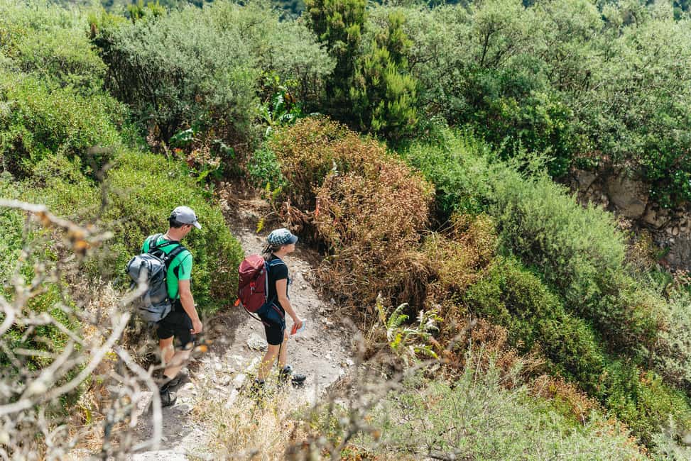 Bild Nr. 17 von Vom Süden Teneriffas: Tagestour zur Insel La Gomera mit Mittagessen Aktivität in Hermigua, hochgeladen vom Anbieter