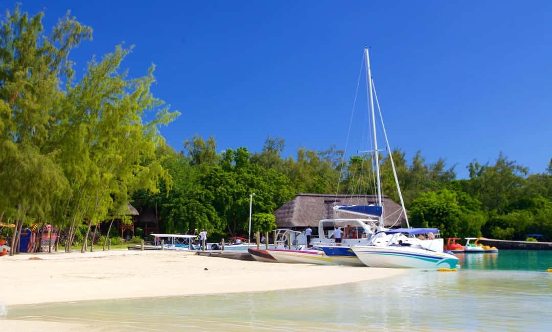 bild nr.9 av Mauritius: Katamarankryssning till Ile Aux Cerfs med BBQ-lunch aktivitet i Mauritius, uppladdad av arrangören