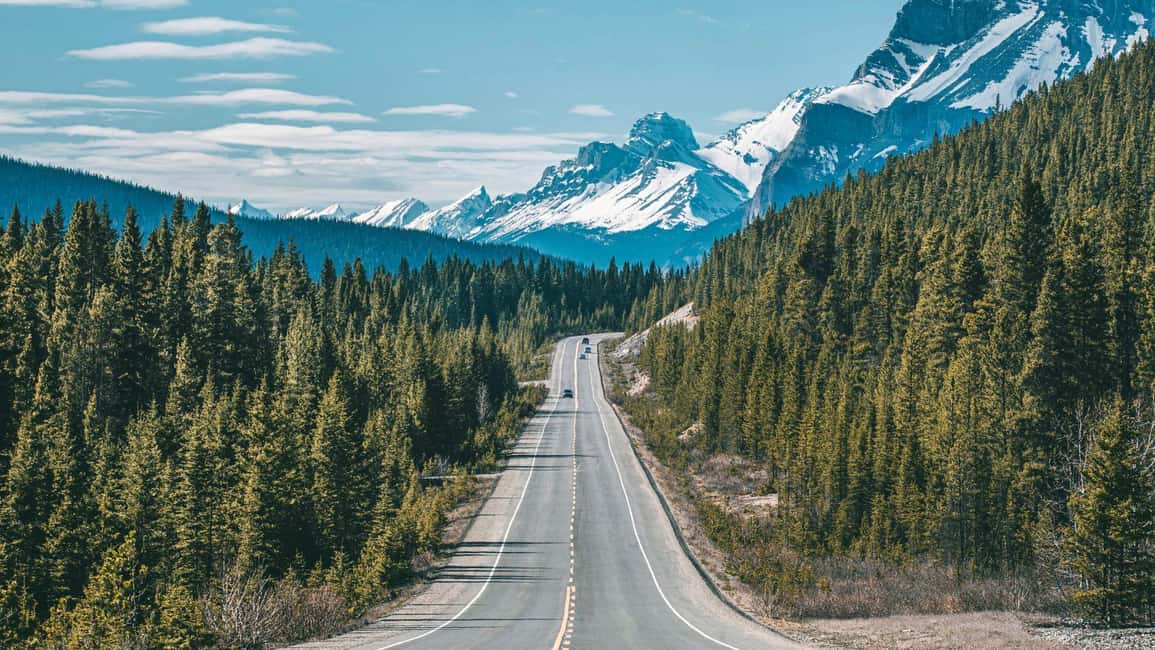 imagem n.1 de De Canmore/Banff: Experiência na Icefields Parkway atividade em Alberta, carregada pelo fornecedor