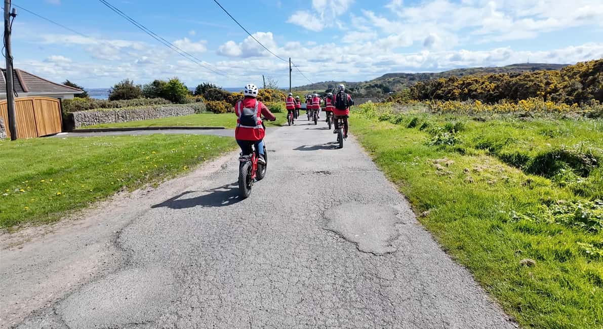 imagen n.º 20 de Dublín: Visita panorámica en e-Bike actividad en Dublín, subida por el proveedor