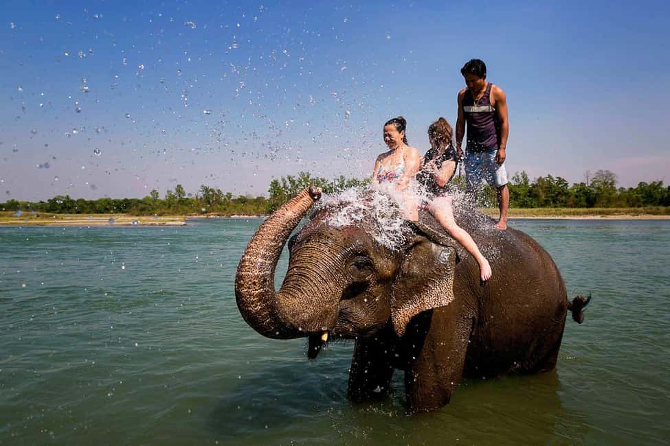 image n.7 of Kathmandu/Pokhara: 3 Day Chitwan Jungle Safari Tour activity in Pashchimanchal, Western Region, uploaded by supplier