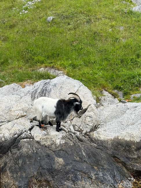 image n.2 of From Stavanger: Lysefjorden & Pulpit Rock Safari by RIB activity in Rogaland, uploaded by supplier