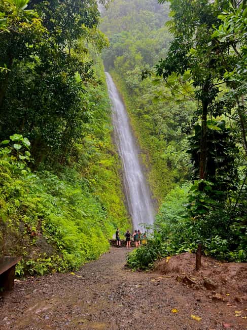 Immagine nº 5 di Oahu: Tour privato - Isola del Cerchio - personalizzabile attività a Honolulu, caricata dal fornitore