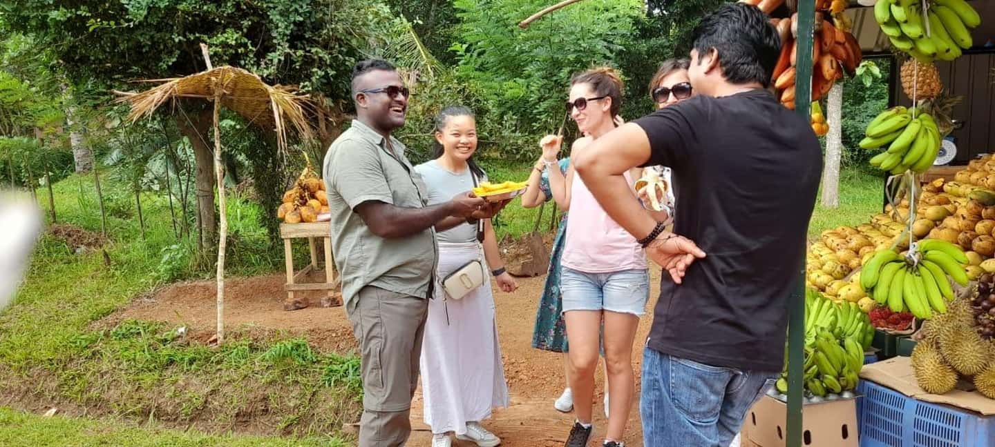 image n.44 of From Colombo: Sigiriya and Dambulla Day Trip and Safari activity in Sigiriya, uploaded by supplier
