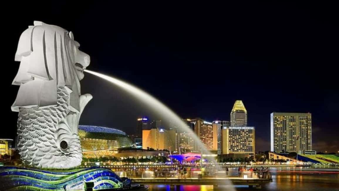 imagen n.º 7 de Singapur: Tour privado personalizado de 3-4-6-8 horas por Singapur actividad en Singapur, subida por el proveedor