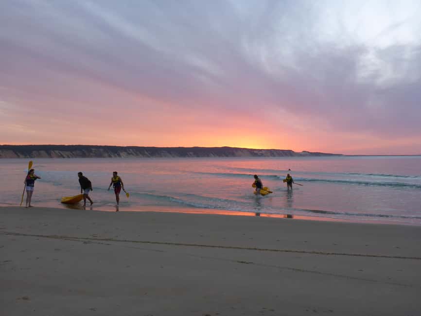 Image N°20 de Excursion en kayak à la rencontre des dauphins et visite du parc national en 4X4 sur la plage (privée) activité à Région de Gympie, publiée par le prestataire