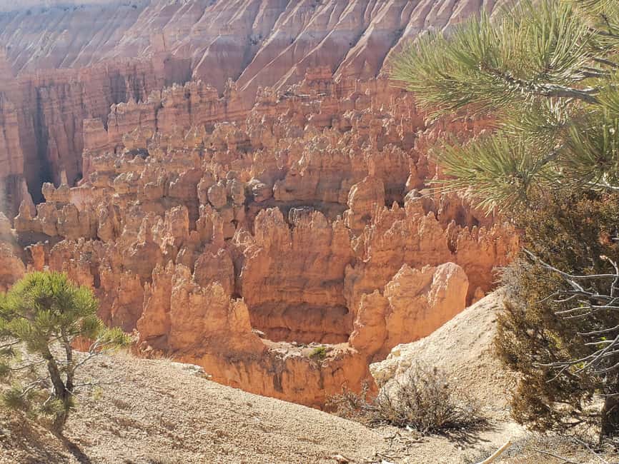image n.18 of Small Group Tour Zion & Bryce Canyon National from Las Vegas activity in Utah, uploaded by supplier