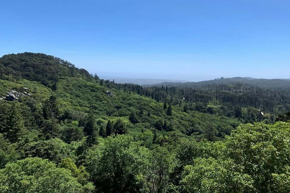 billede nr.11 af aktiviteten Heldagstur til Sintra med Pena-paladset og Quinta da Regaleira i Sintra, uploadet af udbyder