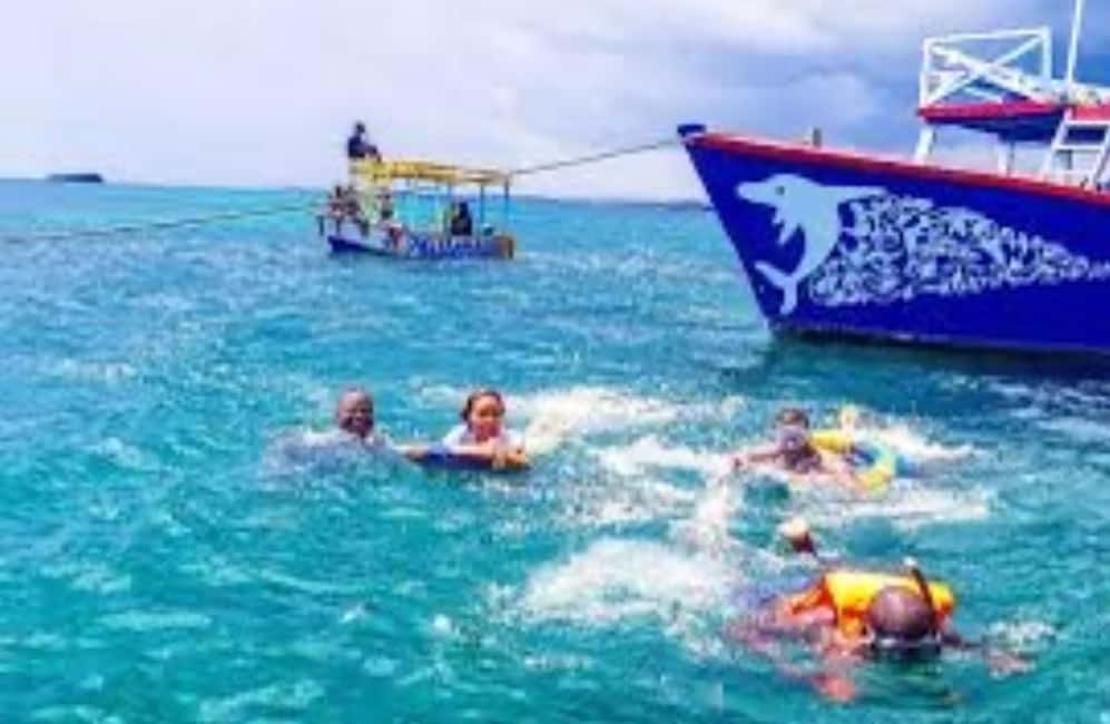 image n.11 of WATAMU,Snorkeling/dolphin spotting,seafood,mida creek cruise activity in Coast Province, uploaded by supplier