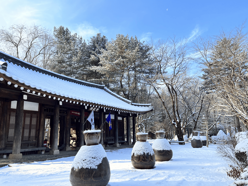 imagen n.º 9 de Seúl: Excursión Montaña Seorak+Isla Nami+Valle del Hielo de Eobi actividad en Chuncheon, subida por el proveedor