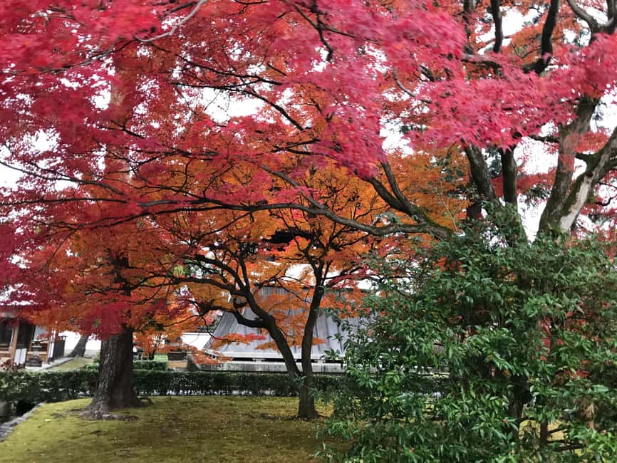 image n.25 of Cycle Kyoto's Hidden Gems & Gion Stroll activity in Kyoto, uploaded by supplier