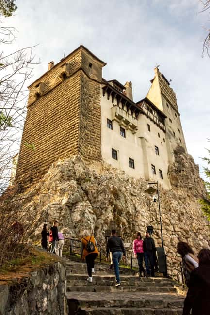 image n.15 of Legends&Wildlife Awaits: Dracula's Castle & Bear Sanctuary activity in Brasov, uploaded by supplier