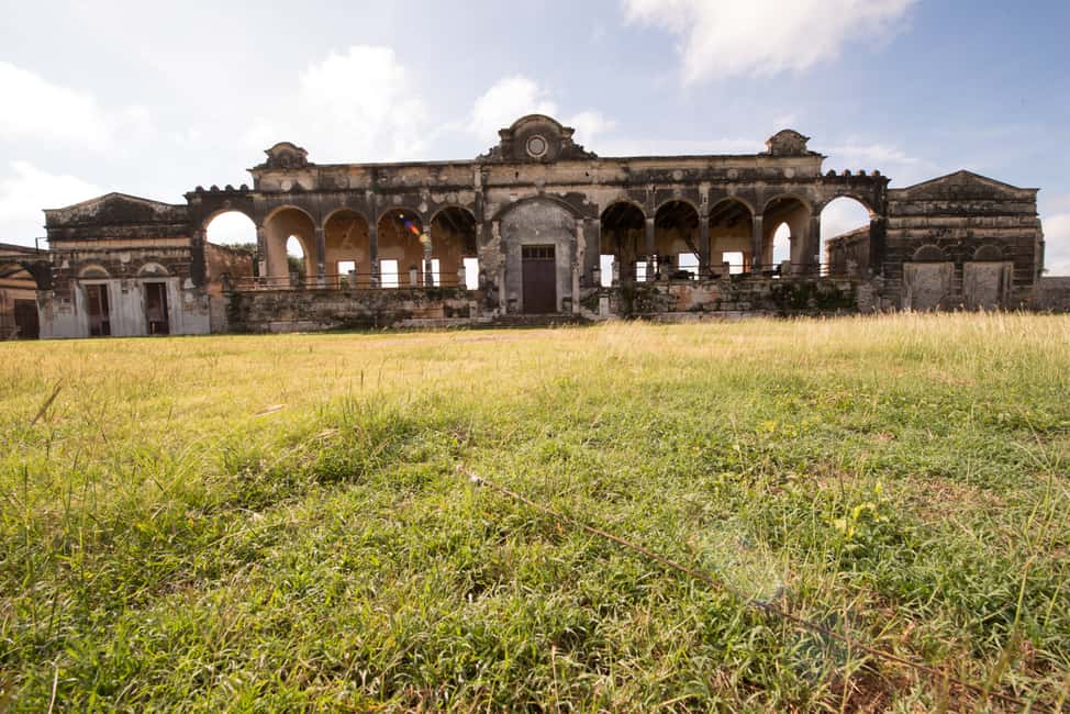 image n.20 of From Merida: Uxmal, Hacienda Yaxcopoil and Cenote with Lunch activity in Uxmal, uploaded by supplier