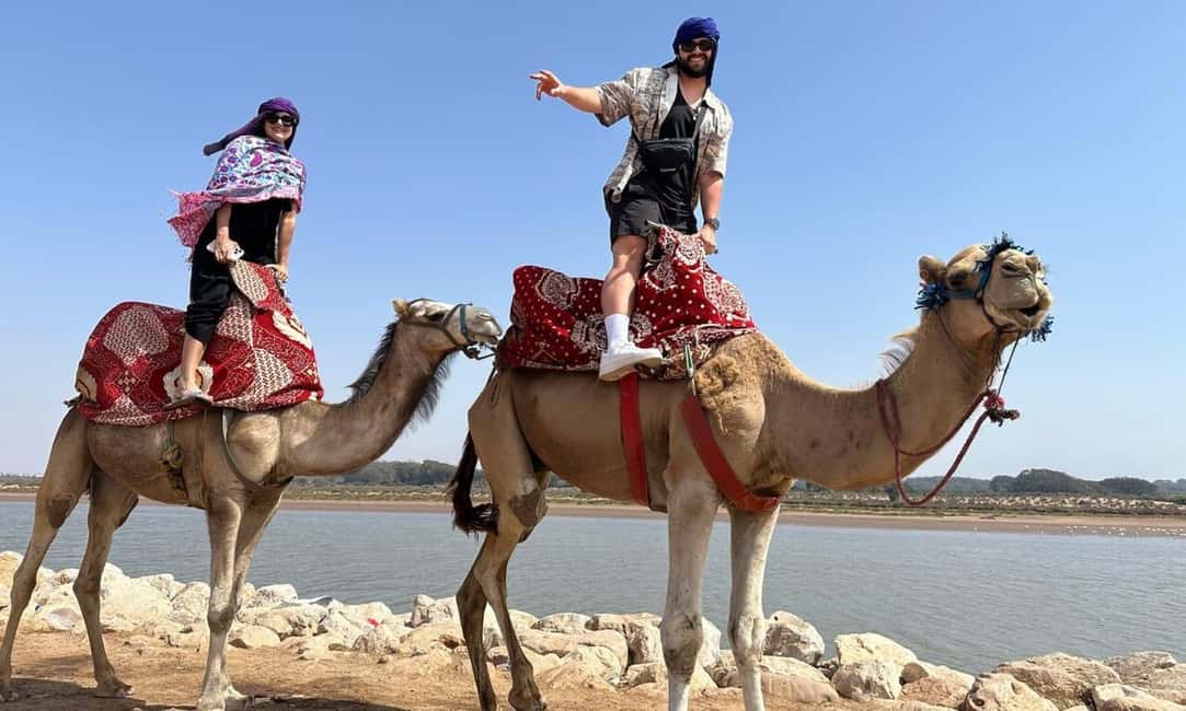 imagen n.º 7 de Desde Agadir: Paseo en Camello y Excursión a los Flamencos actividad en Sus-Masa-Draa, subida por el proveedor
