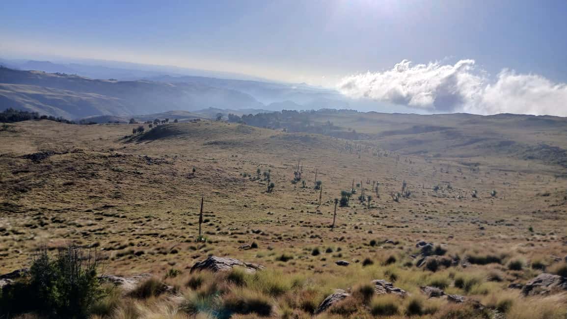 image n.9 of From Gondar: 6-Day Simien Mountains Trekking Tour ras dejen activity in Tigray Region, uploaded by supplier