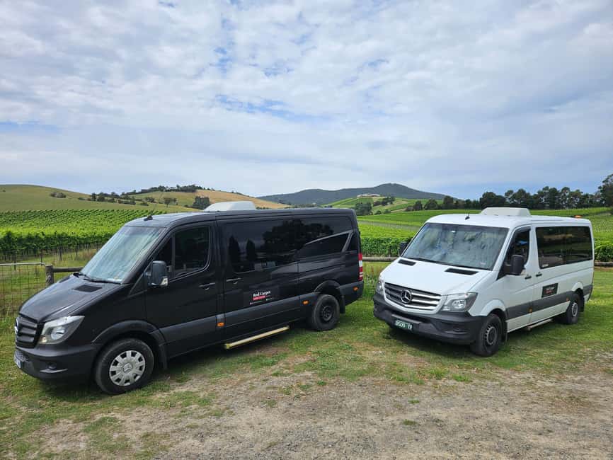 image n.31 of Melbourne: Yarra Valley Wine, Gin, Whisky and Chocolate Tour activity in Melbourne, uploaded by supplier