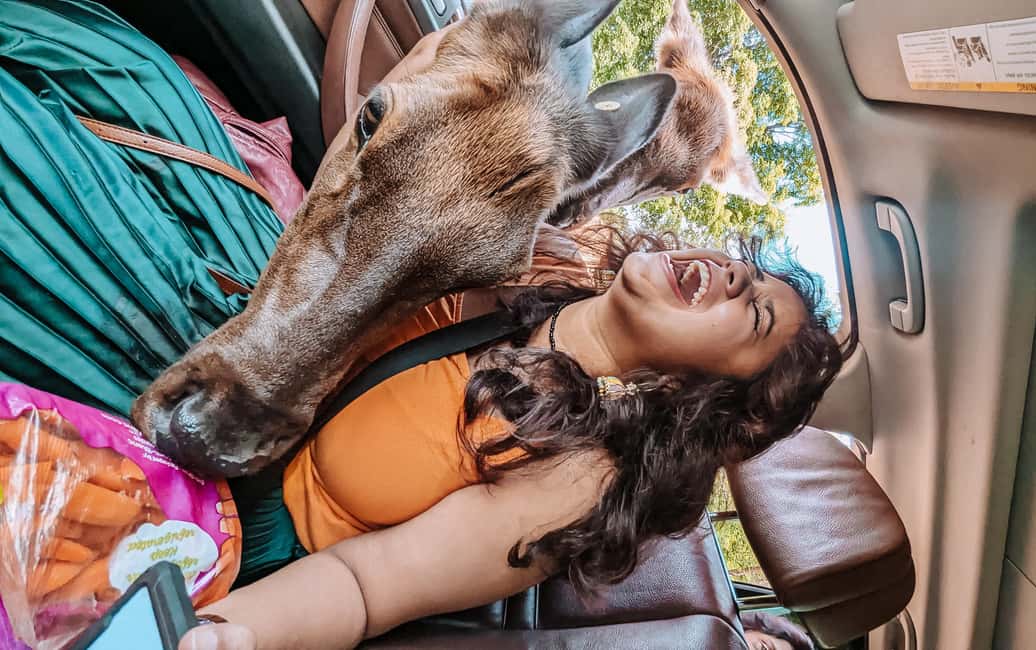 imagem n.2 de Otava: Safari privado de aventura na vida selvagem no Parc Omega atividade em Montebello, carregada pelo fornecedor