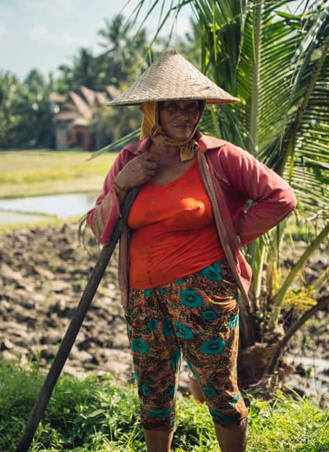 image n.6 of Ubud: Downhill Cycling with Volcano, Rice Terraces, and Meal activity in South Batur, uploaded by supplier