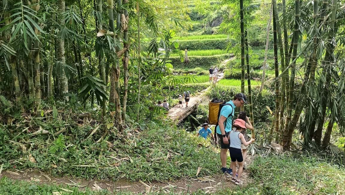 afbeelding n.2 van Lombok: Tetebatu wandeltour met apenbos en waterval activiteit in West-Nusa Tenggara, geüpload door aanbieder