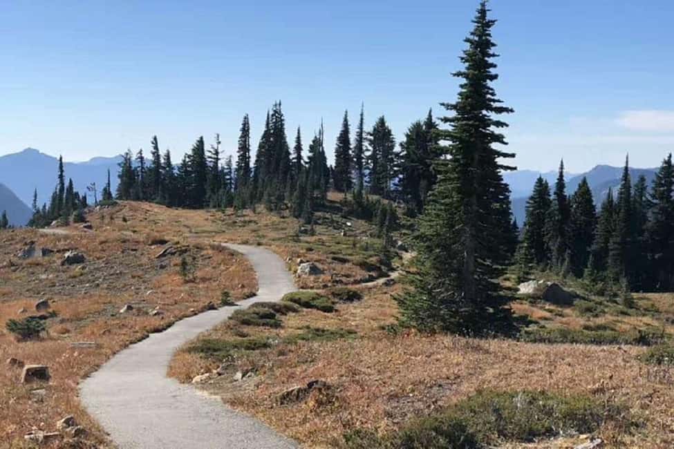imagem n.5 de De Seattle: Excursão guiada de um dia ao Monte Rainier atividade em Washington, carregada pelo fornecedor