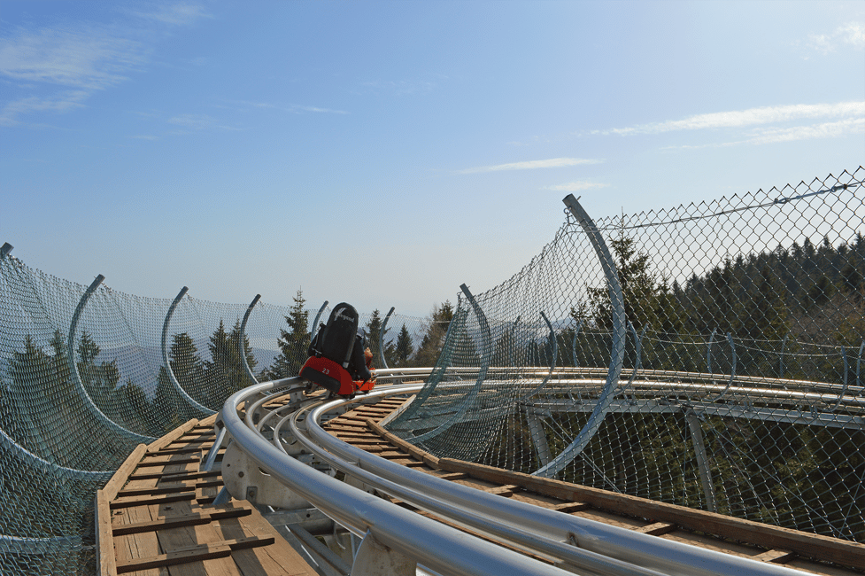billede nr.12 af aktiviteten Stresa: Alpyland Alpine Coaster Ride på Mount Mottarone i Mottarone, uploadet af udbyder